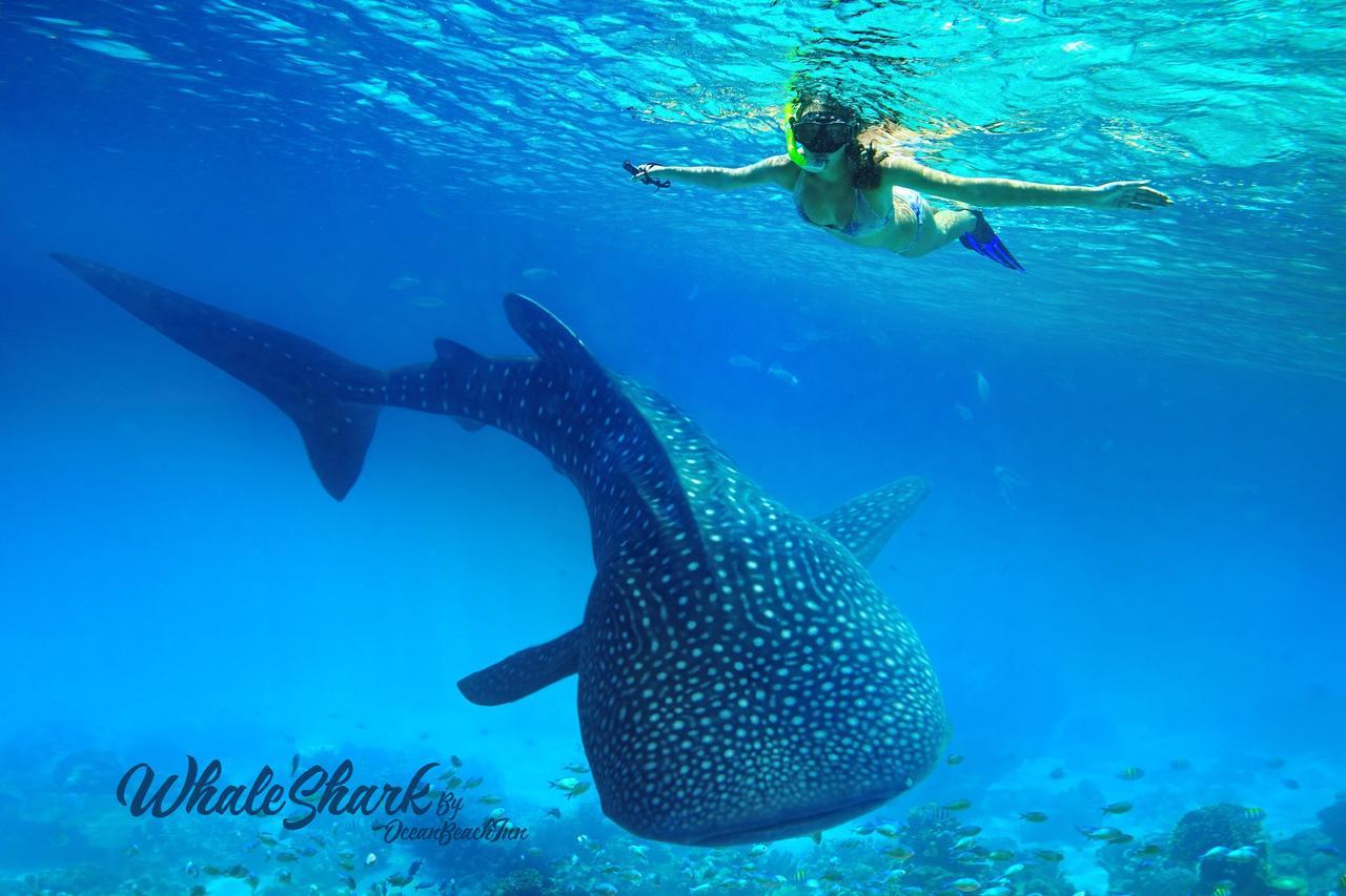 Ocean Beach Maldive Hotel Maldives Ngoại thất bức ảnh